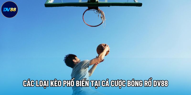 Các loại kèo phổ biến tại cá cược bóng rổ DV88