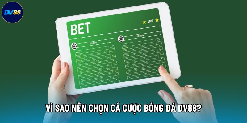 Vì sao nên chọn cá cược bóng đá DV88?